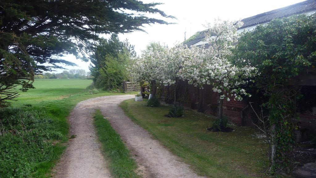 Bed and Breakfast Lockgate Dairy à Chichester Extérieur photo